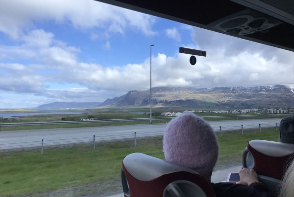 a landscape view from a bus window in Iceland